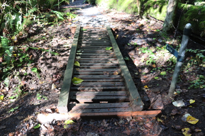 Boardwalk with lip and wide gaps between boards – along Jay Trail